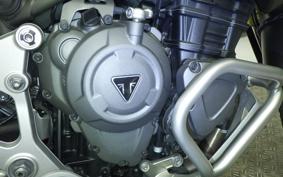 TRIUMPH TIGER 1200 RALLY 2024