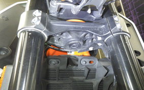 KTM 390 DUKE 2019
