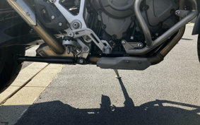 TRIUMPH TIGER 1200GT PRO 2023 TAP22V