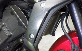 YAMAHA FZ1 FAZER 2015 RN21J