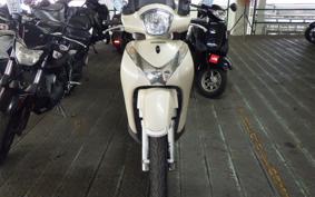 HONDA SH MODE 1981 JF51