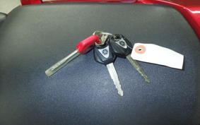 YAMAHA FZ1 FAZER 2009 RN21J