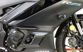 YAMAHA YZF-R25 RG74J
