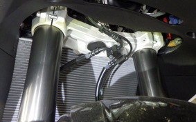KAWASAKI NINJA 1100SX 2025 ZXT10H