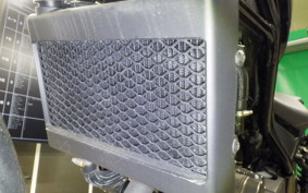 HONDA REBEL 250 MC49