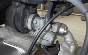 HONDA GORILLA 2024 AB27