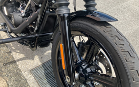 HARLEY FXBBS 2022 YYK