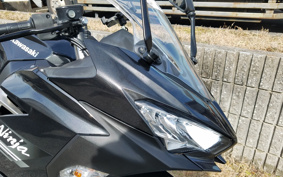 KAWASAKI NINJA 250 EX250P