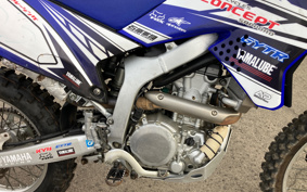 YAMAHA WR250R DG15J