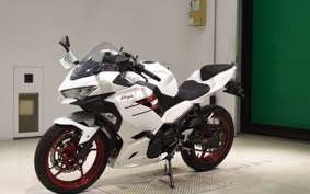 KAWASAKI NINJA 250 2021 EX250Y