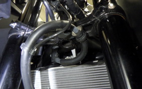 HONDA CBR250RR A MC51