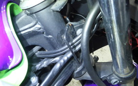 KAWASAKI NINJA 250 2021 EX250L