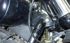 HARLEY FXBB1750 2020