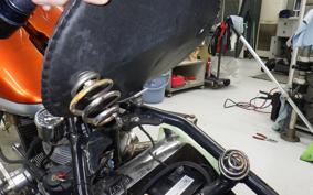 OTHER UNREGISTERED MODEL by BDS1200 2023