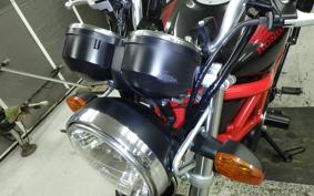 HONDA VTR 250 Gen. 2 MC33