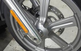 HARLEY FXST1750 2025