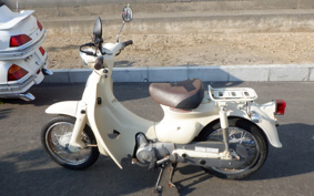 HONDA LITTLE CUB AA01