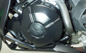 KAWASAKI Z250 A 2021 ER250C