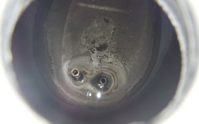 HONDA C90 SUPER CUB HA02