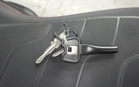 INDIAN FTR1200 carbon 2023