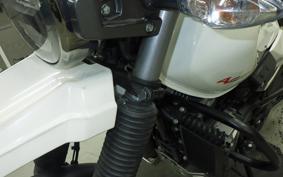 OTHER HERO X-PULSE200