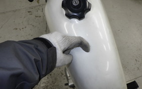 SUZUKI GRASS TRACKER NJ4BA