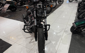 HARLEY  HARLEY FXBRS 2020 YHK