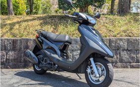 YAMAHA AKUSHI STREET SE53J