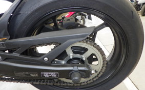 KAWASAKI ZX-4RR 2024 ZX400P