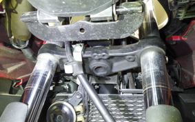 SUZUKI GSX250R 2023