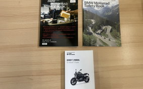 BMW R NINE T PURE 2021 0L61
