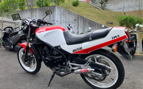 YAMAHA RZ250R 29L