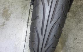KAWASAKI KLX250D TRACKER X 2024 LX250V