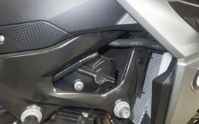 BMW F900R 2021