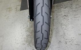HARLEY XL883N 2021