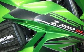 KAWASAKI Z250 SL 2016 BR250E