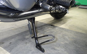 KAWASAKI W800 2021 EJ800E