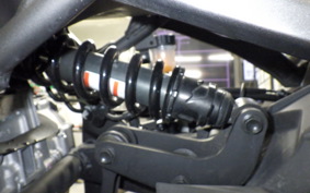 KAWASAKI ZX-4R SE 2024 ZX400P