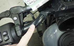 HARLEY RH975S 2024