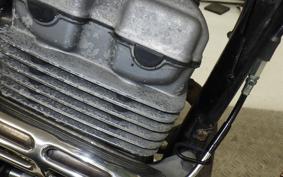 KAWASAKI SUPER SHERPA 2019 KL250G