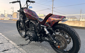 HARLEY HARLEY XL883R 2009 CS2