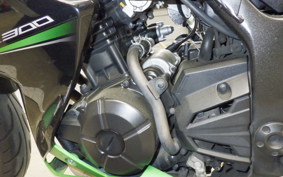 KAWASAKI Z300 2022