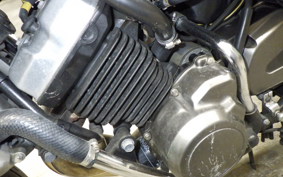 KAWASAKI BALIUS 250 Gen.2 2025 ZR250B