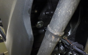 HONDA CBR250R A 2024 MC41