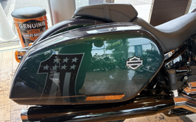 HARLEY FLSB 2022 YMJ