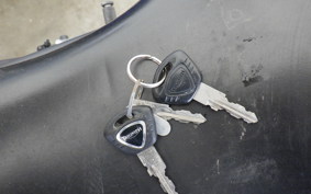 TRIUMPH DAYTONA 675 2013