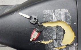 SUZUKI ADDRESS V100 CE13A