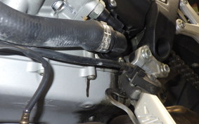 MV AGUSTA BRUTALE 800 A 2022