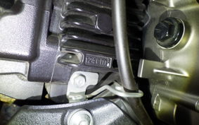KAWASAKI Z125 PRO 2023 BR125H