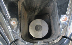 YAMAHA MAXAM250 SG21J